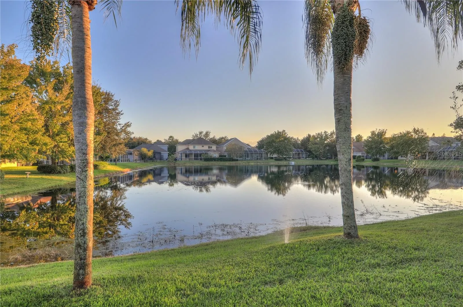 pond view