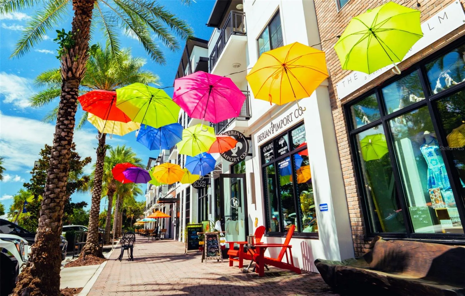 Downtown Dunedin