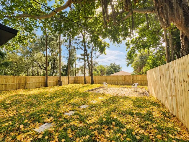 Backyard