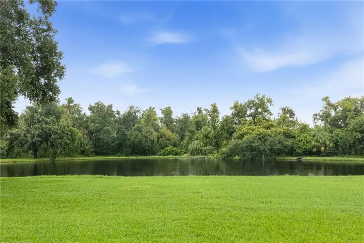 Lakefront living with a nature preserve in the distance