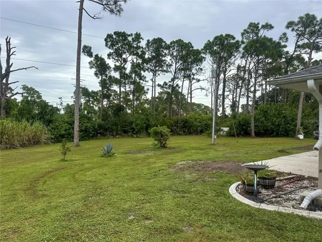 Backyard view