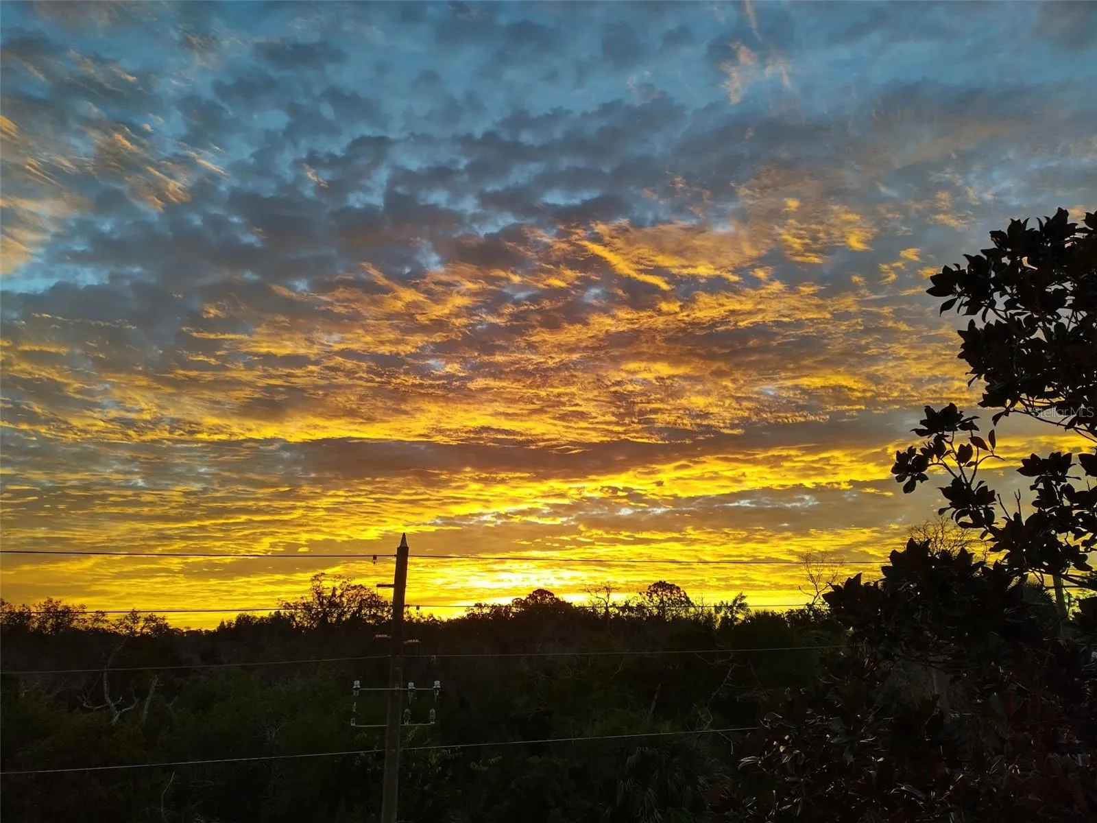 Sunsets are free at Robert K Rees Park