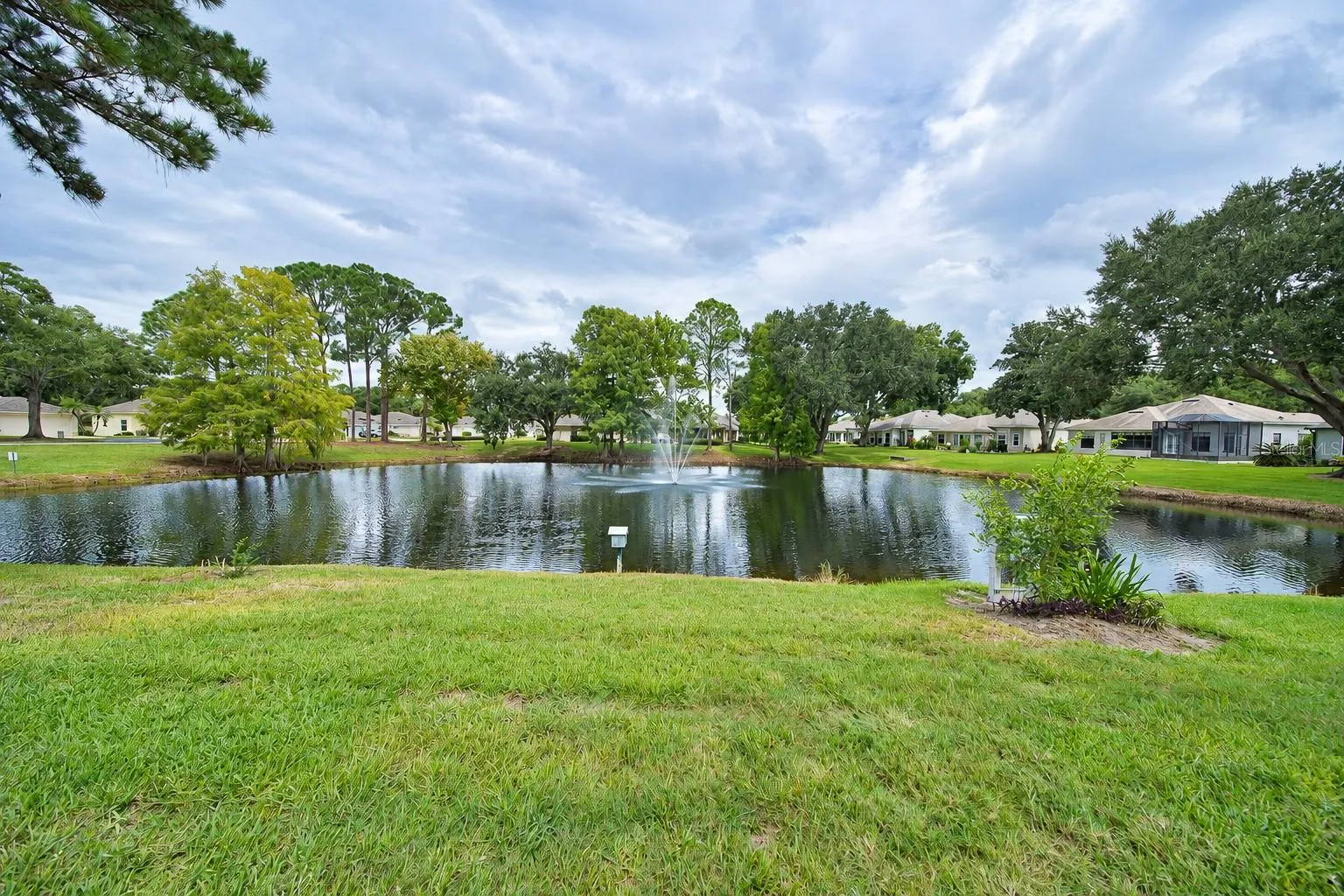 pond-view