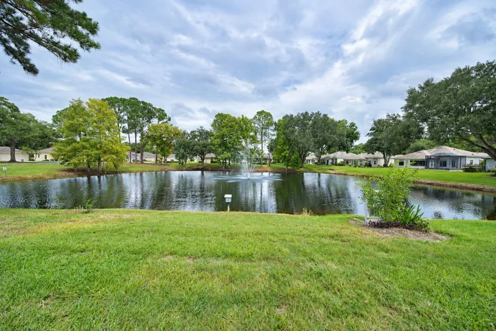 pond-view