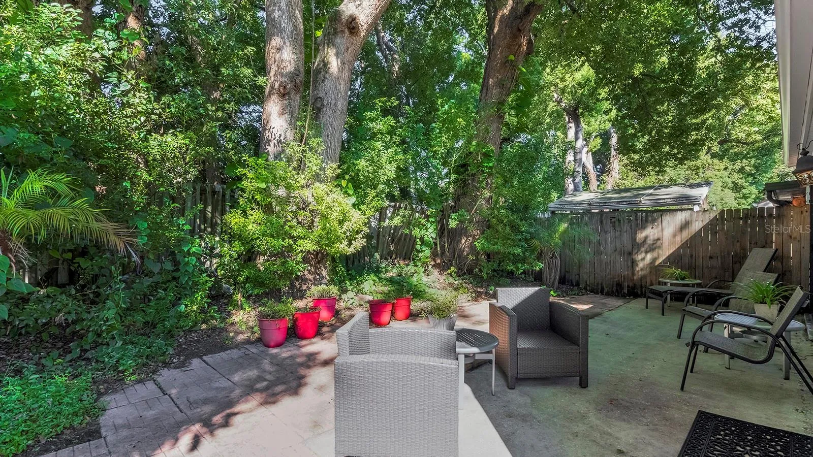 backyard