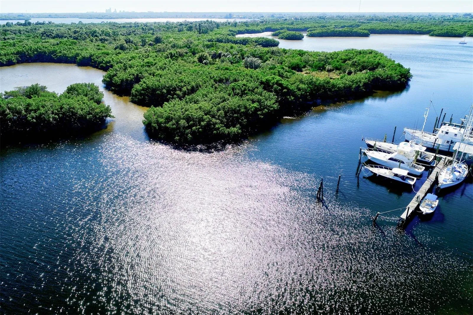beautiful Weedon Island