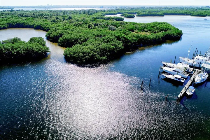 beautiful Weedon Island