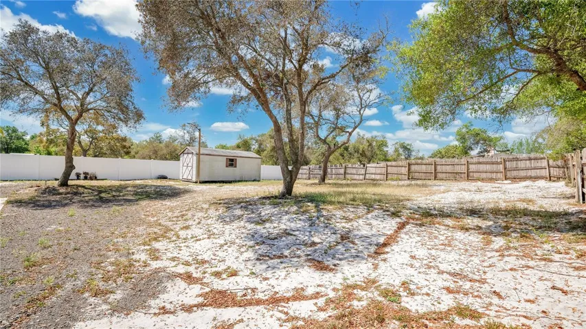 Back yard with mature trees
