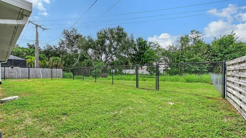 Backyard