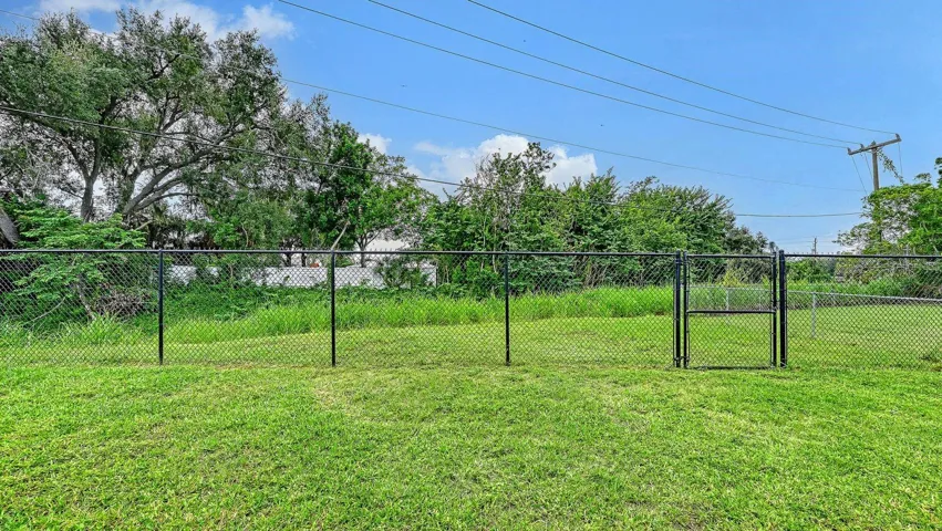 Backyard