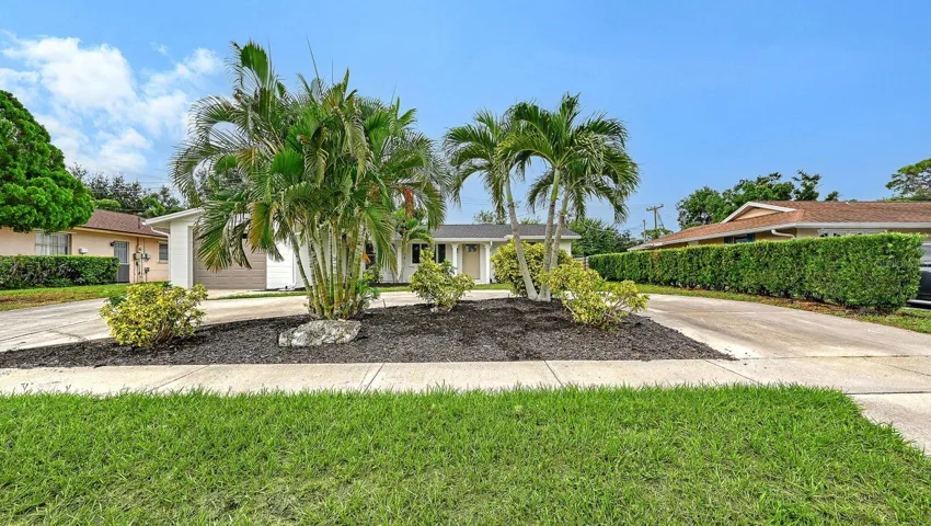 Beautiful Landscaping with nice Palm Trees