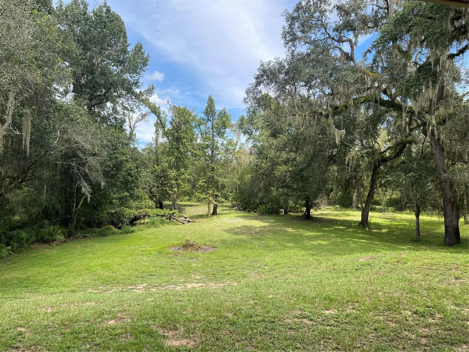 Back yard facing river.