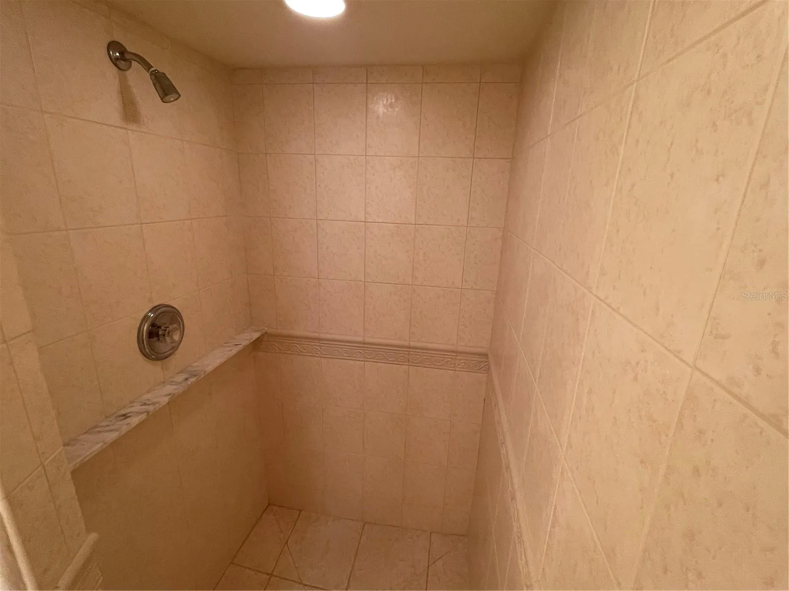Shower in guest bathroom