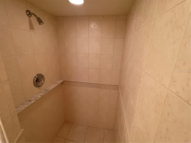 Shower in guest bathroom