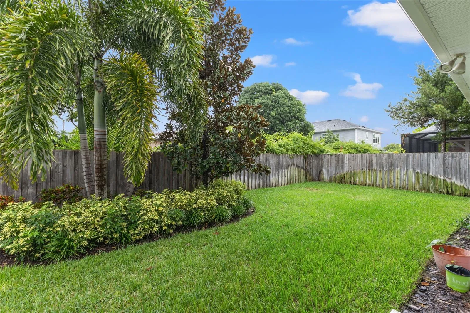 Backyard