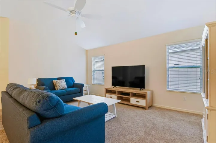 Living Room (Virtually Staged)