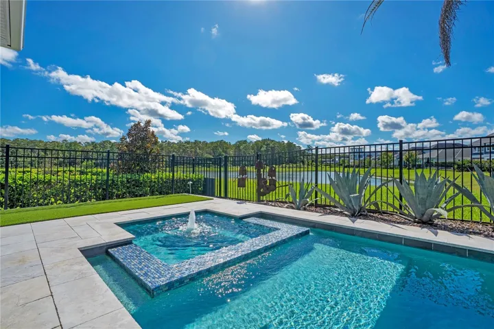 Heated salt water pool and spa with open sky and a peaceful water and conservation view.