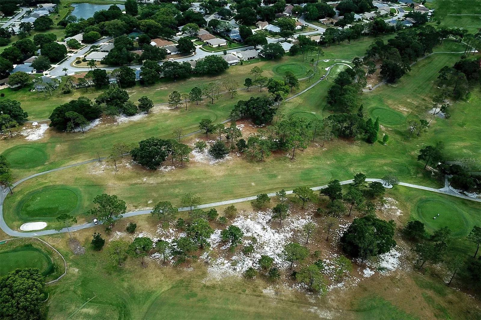 View down one of the fairways