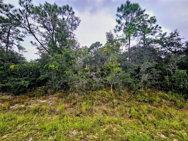 Wooded lot for sale in Placid Lakes.