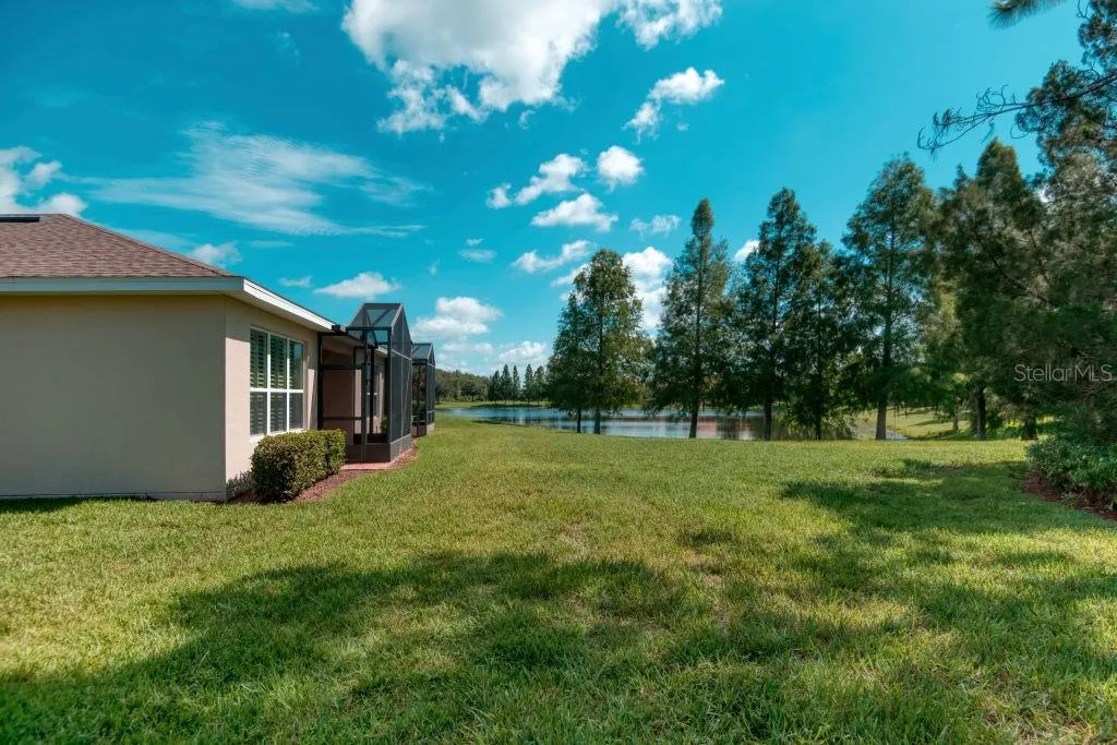 POND View
