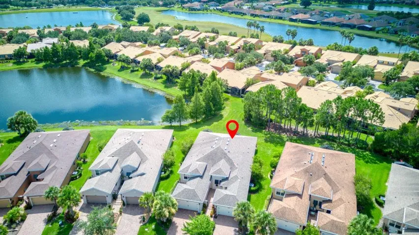 POND View