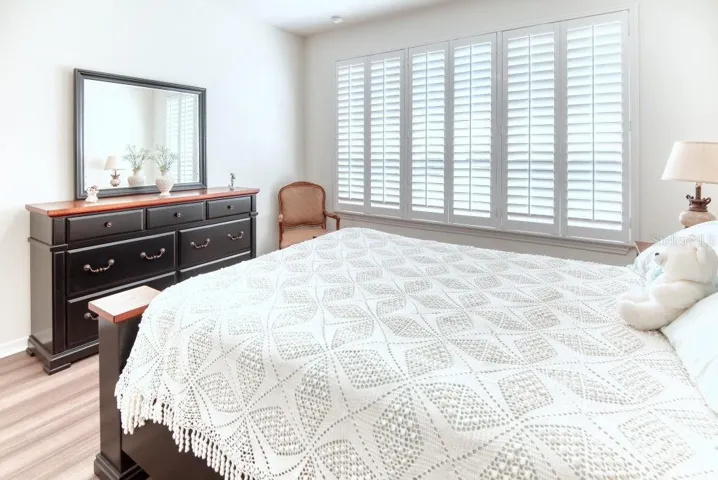 Plantation Shutters with Rear View to Conservation