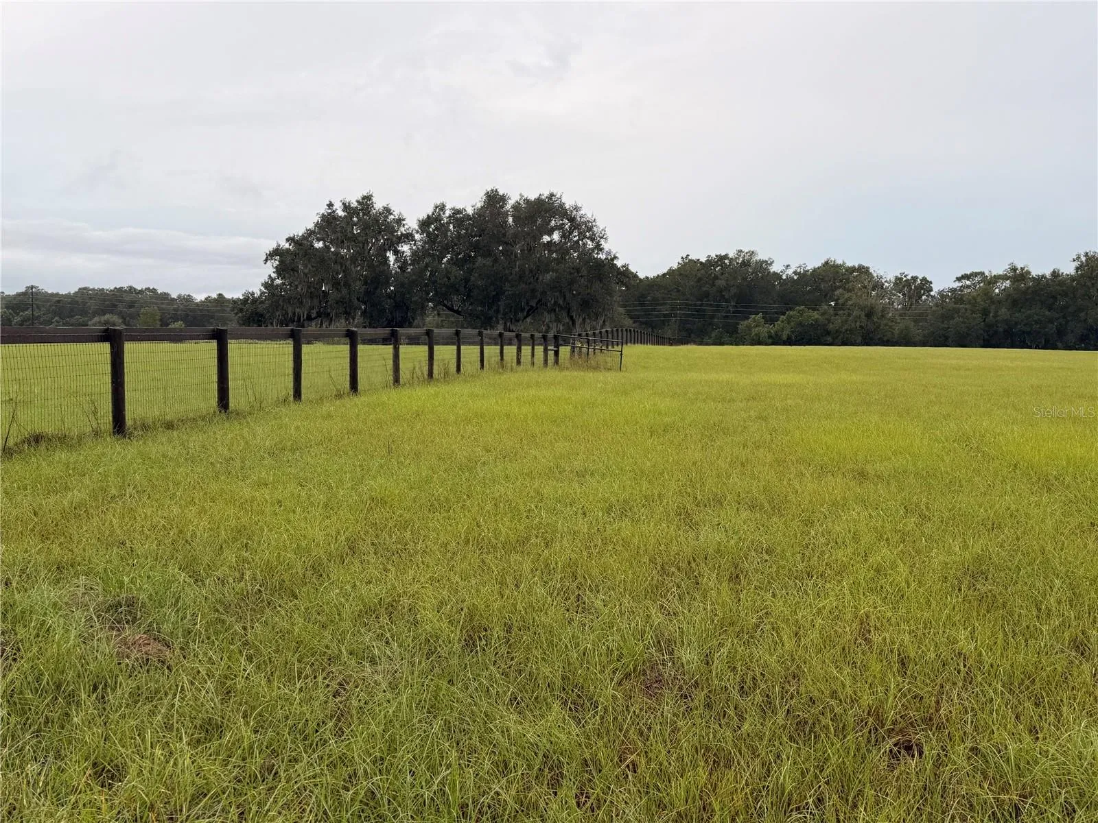 Beautiful rectangular lot. Very private with great pasture grass.