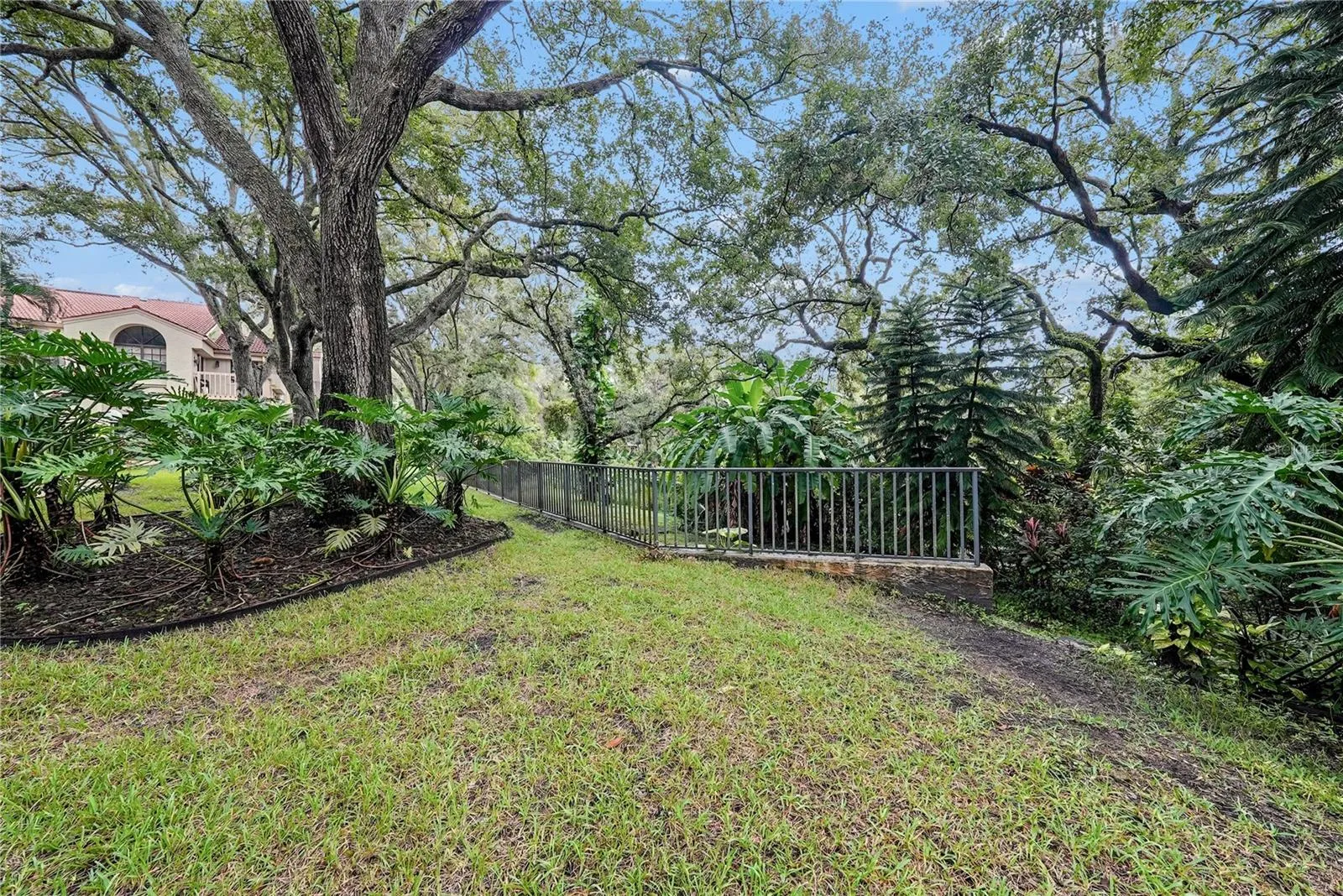 Lots of nature in the community