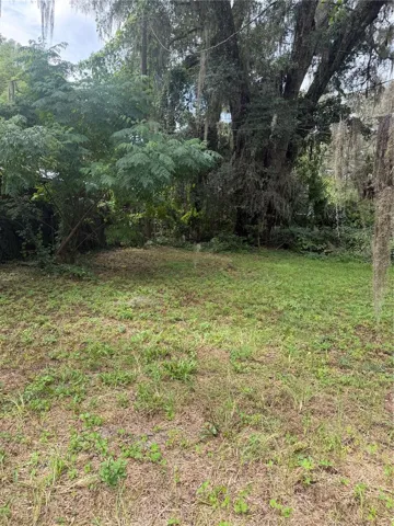 side yard