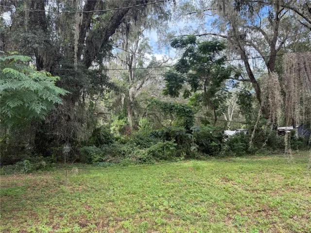 backyard