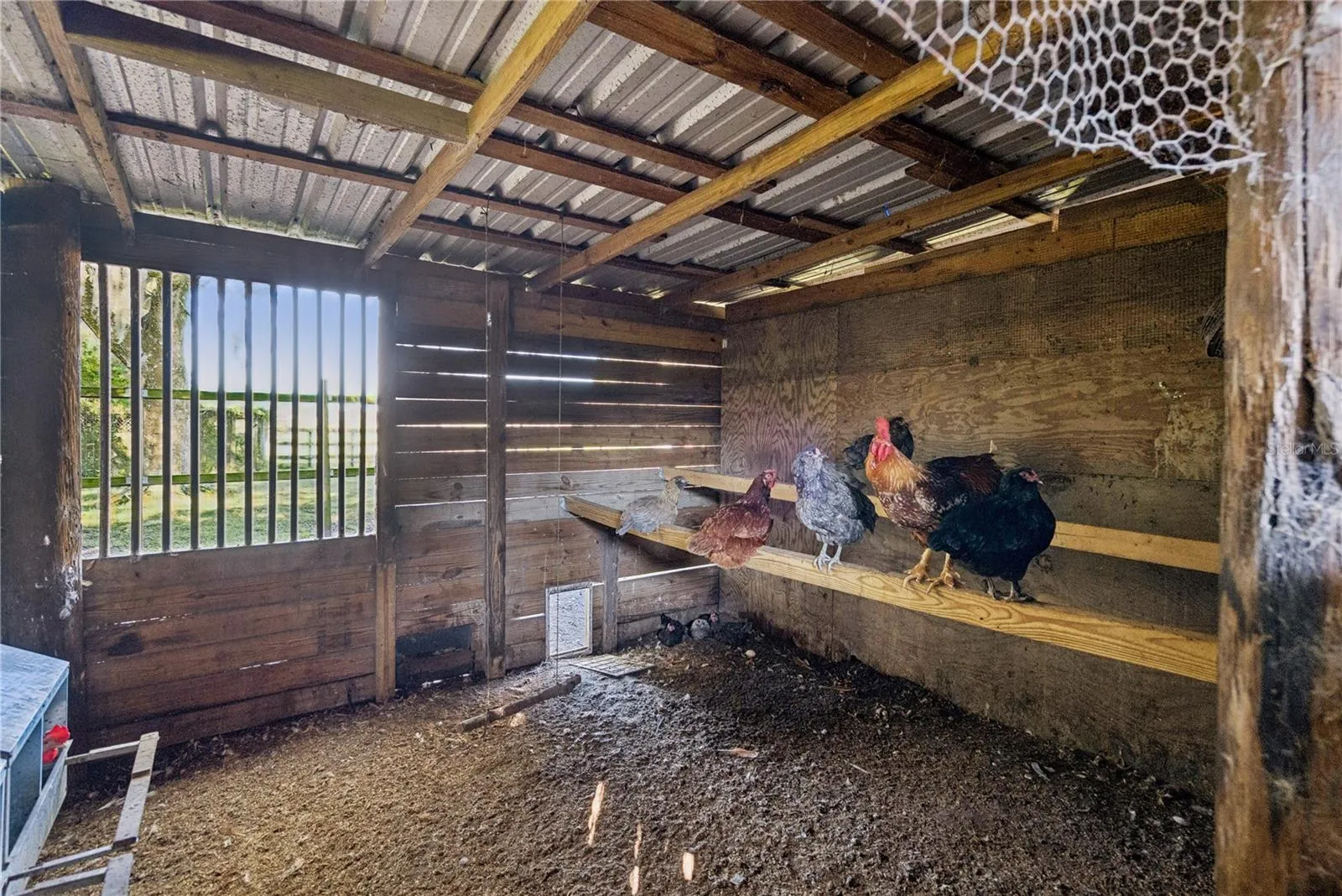Chicken coop