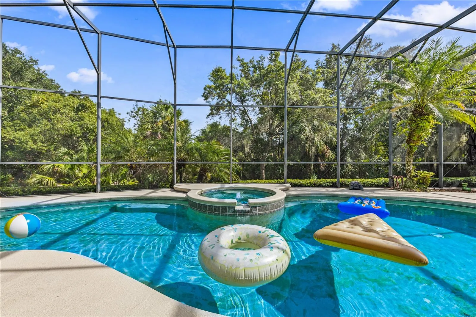 POOL W  SCREENED CAGE