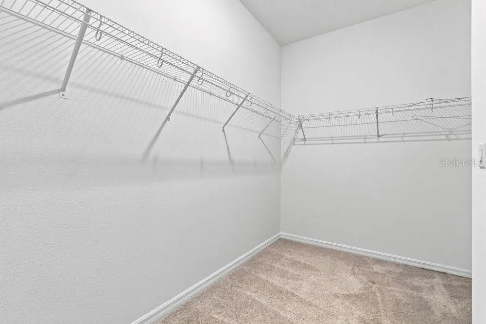 Massive Owners' Closet