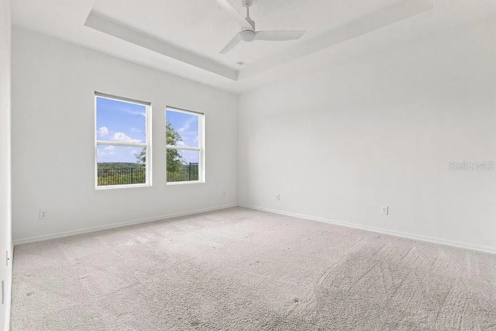 Owners' Suite with tray ceiling