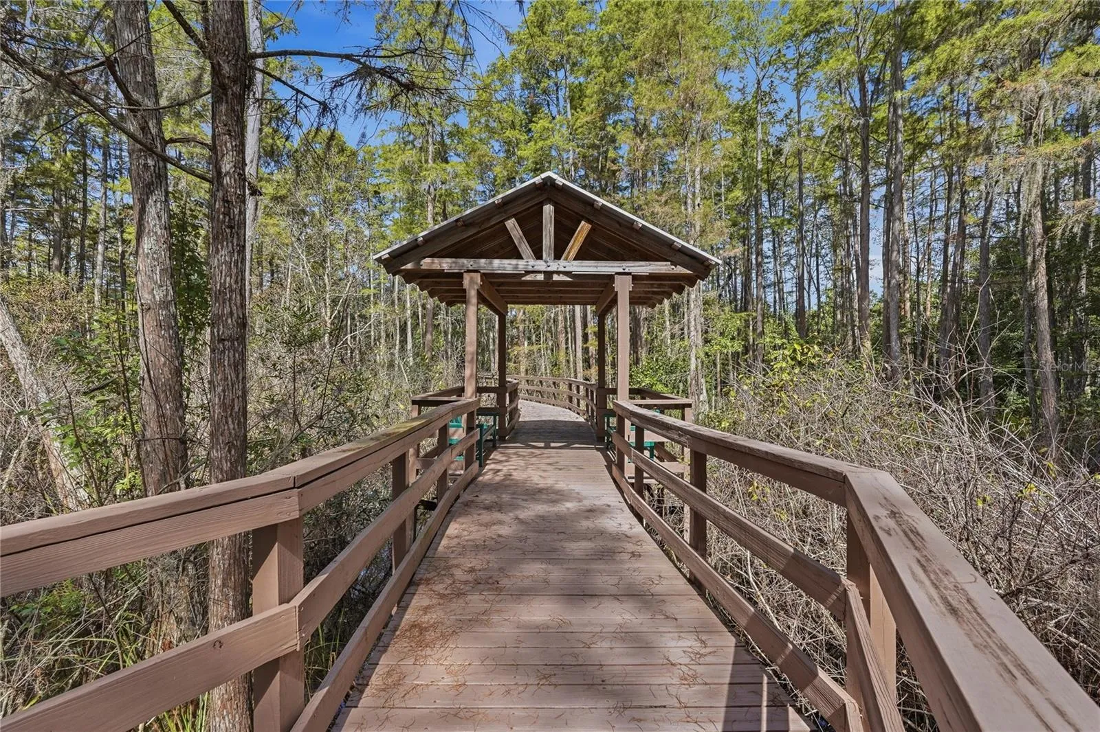 Board Walk - Trail