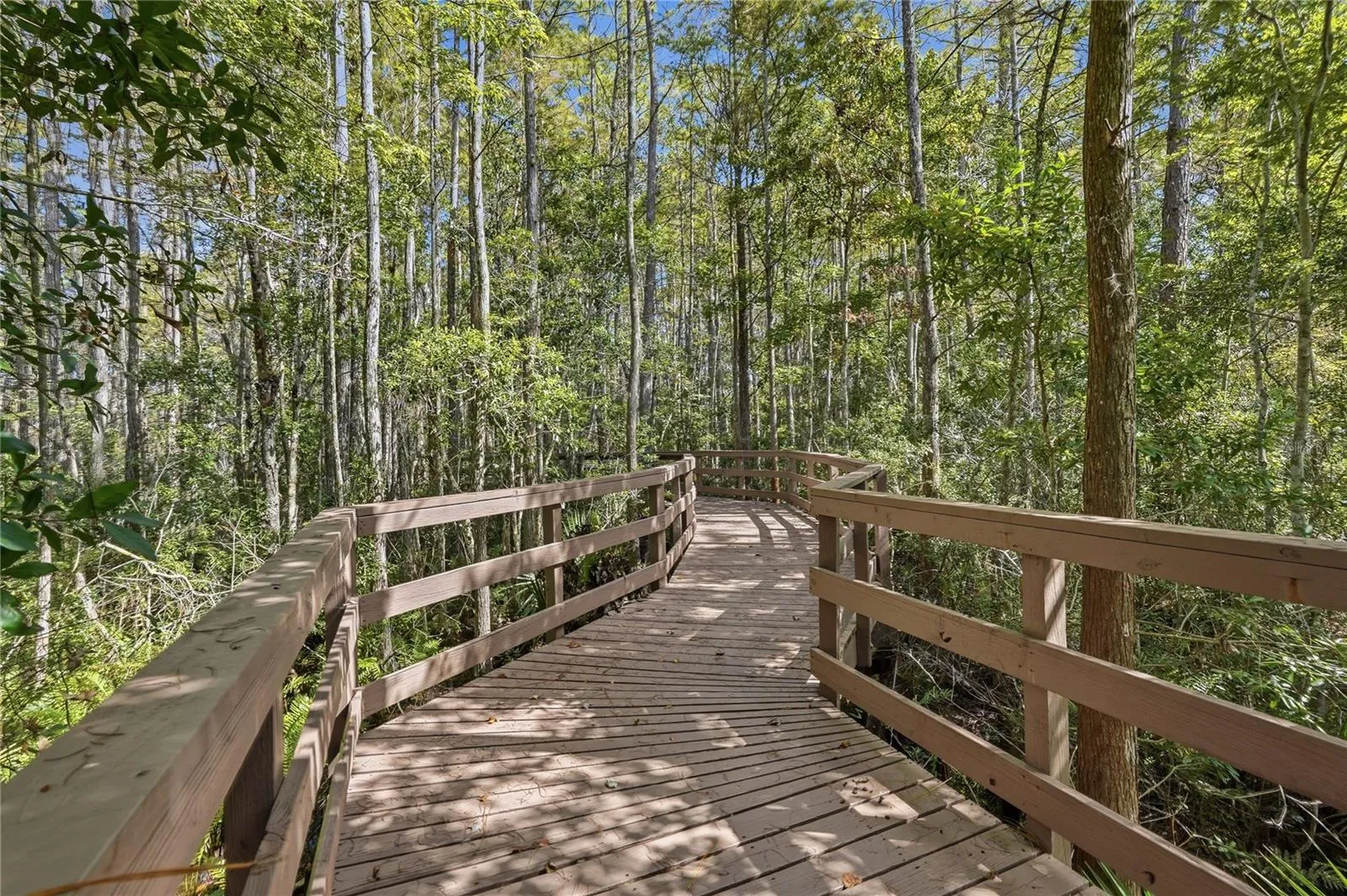 Board Walk - Trail