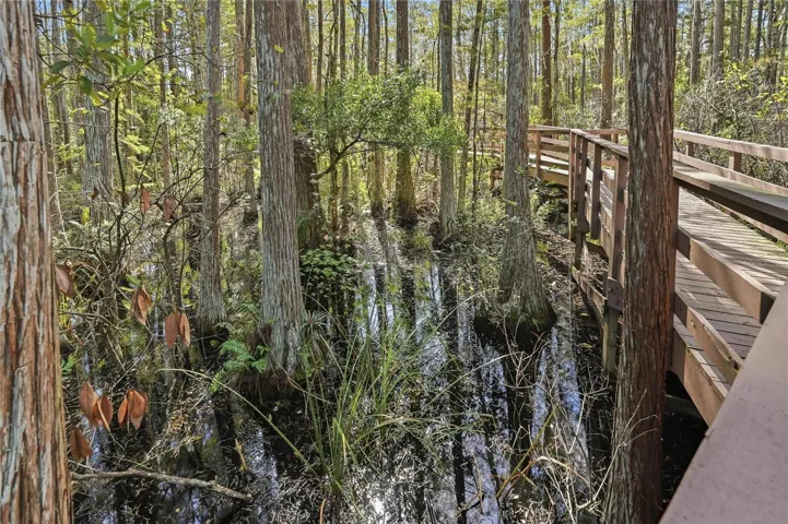 Board Walk - Trail