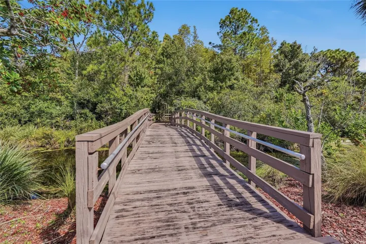 Board Walk - Trail