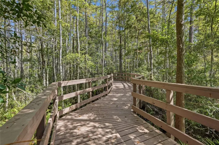 Board Walk - Trail