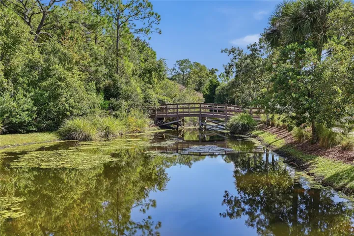 Board Walk - Trail