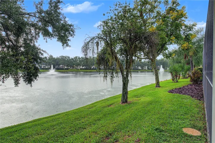 Pond View - you will never get tired of this!