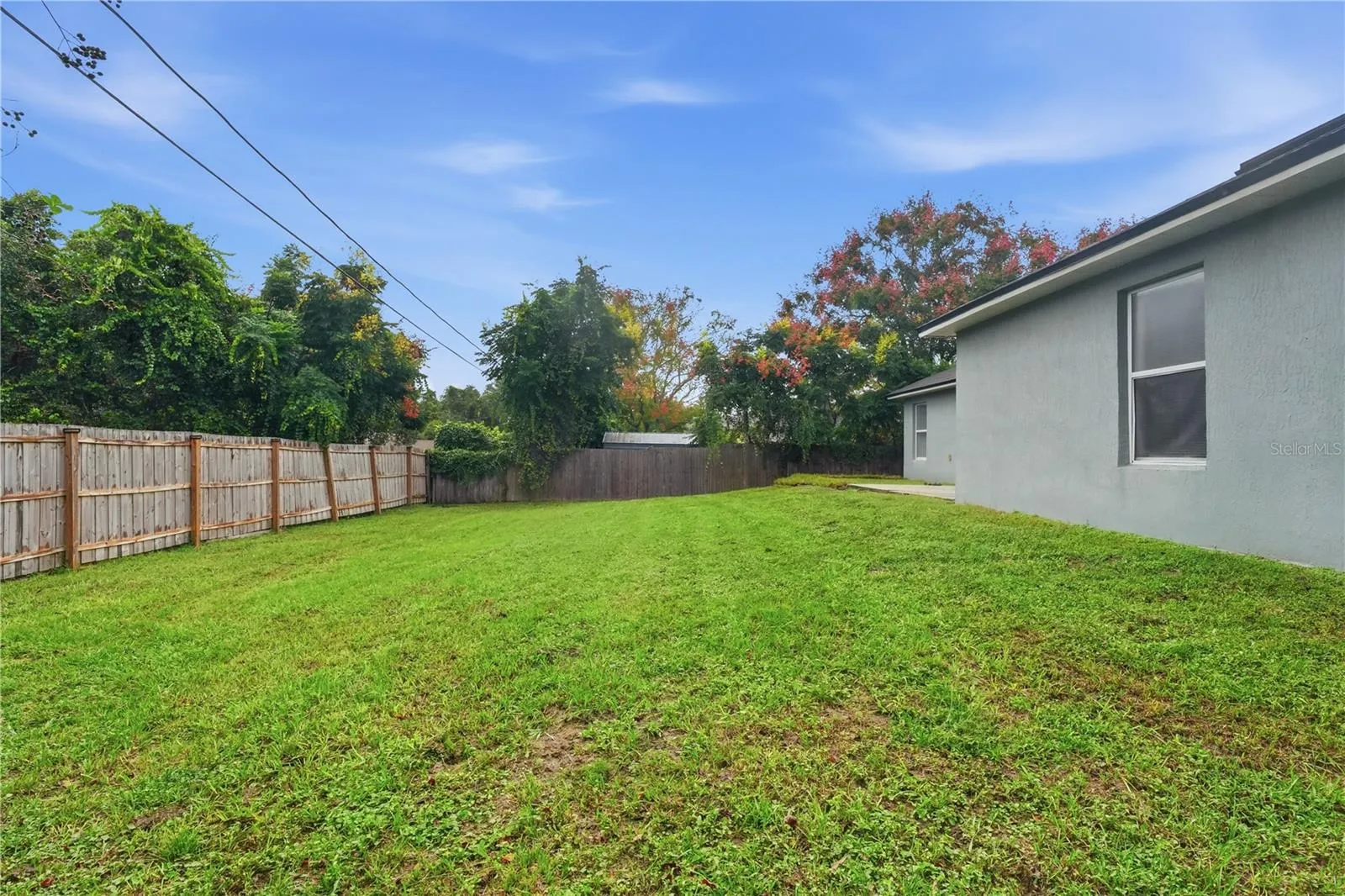 Back yard