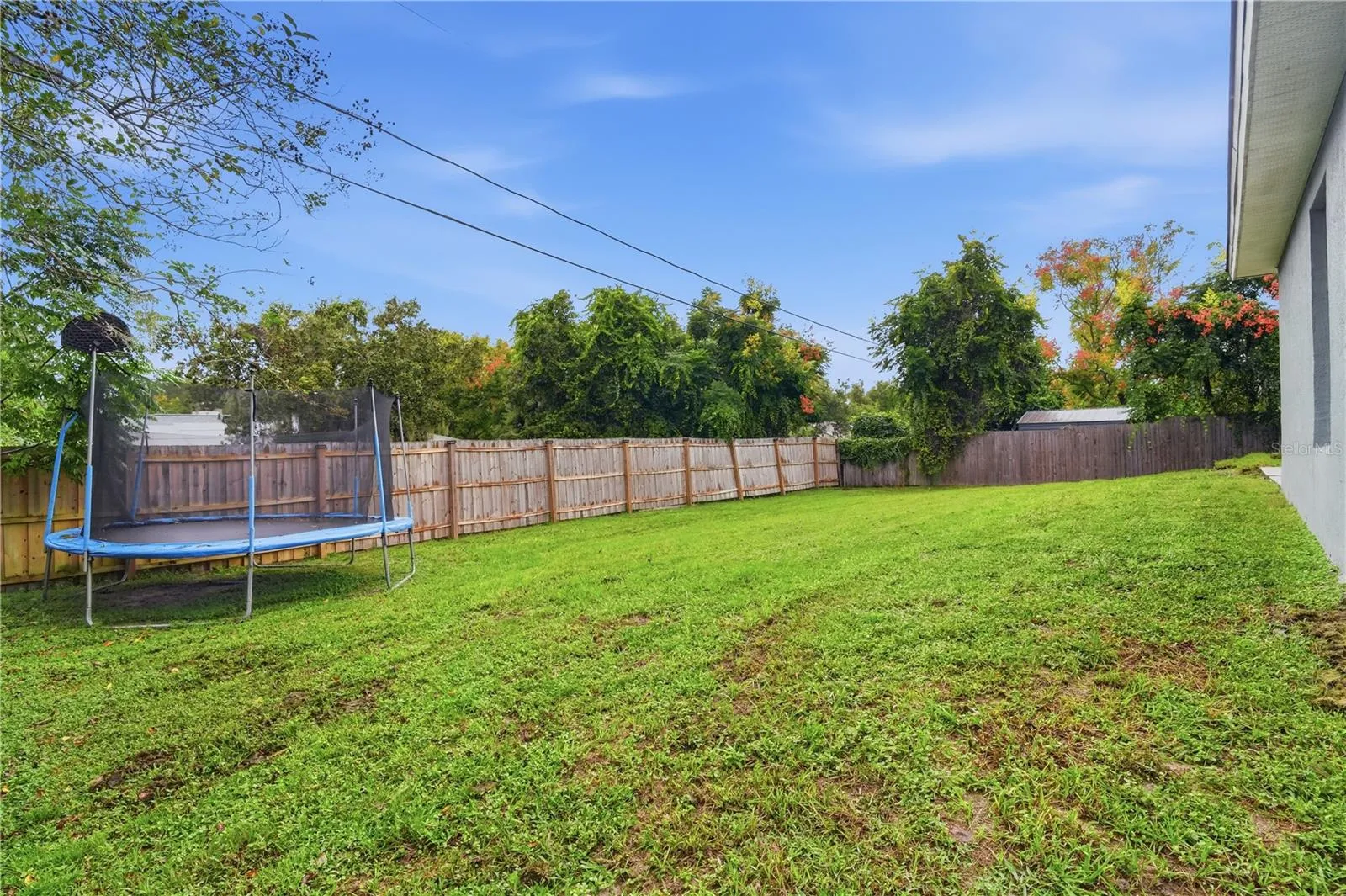 back yard