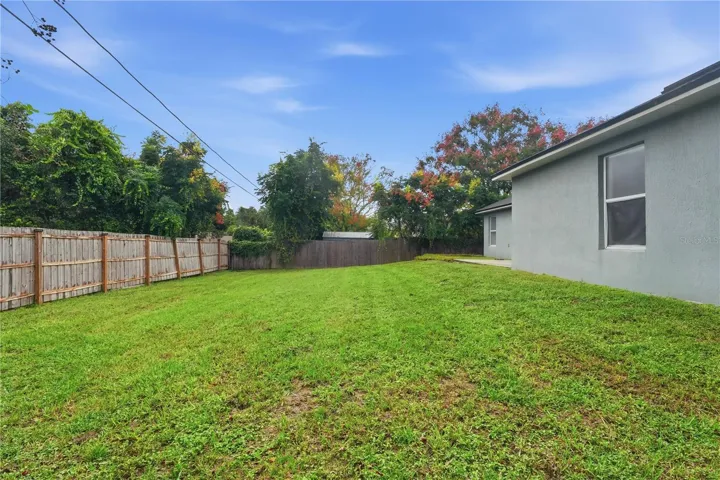 Back yard
