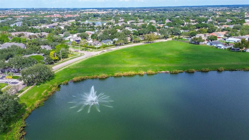 Pond and park area behind house