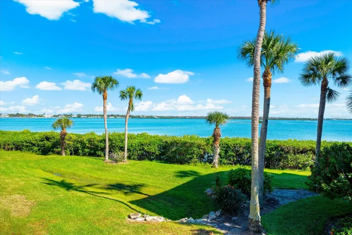 TROPICAL Palm Trees And Paradise