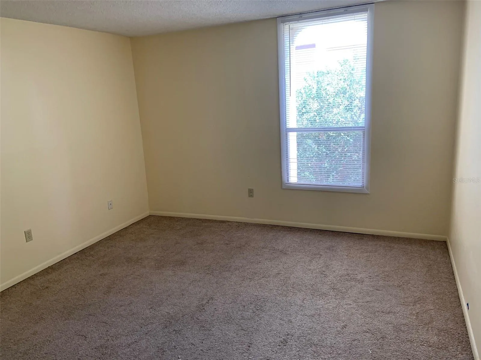 2nd Bedroom/middle