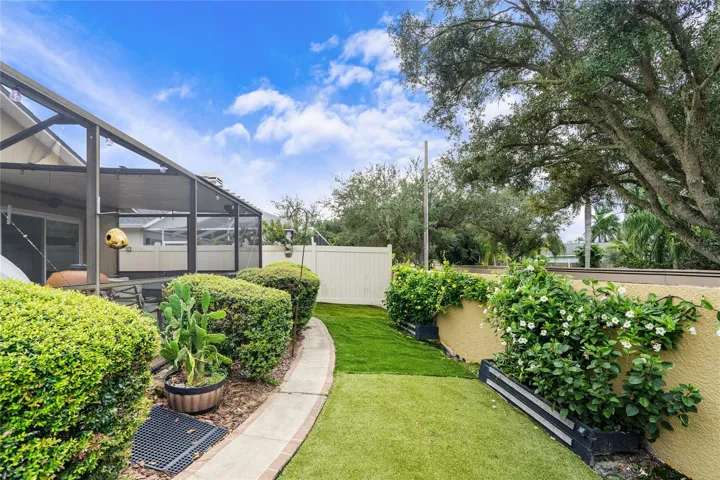 Side Yard