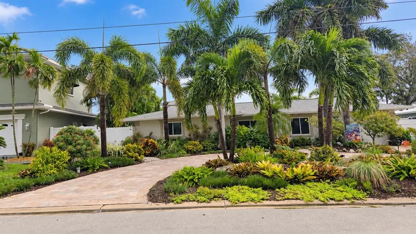 Count the Palm Trees - Florida's Best