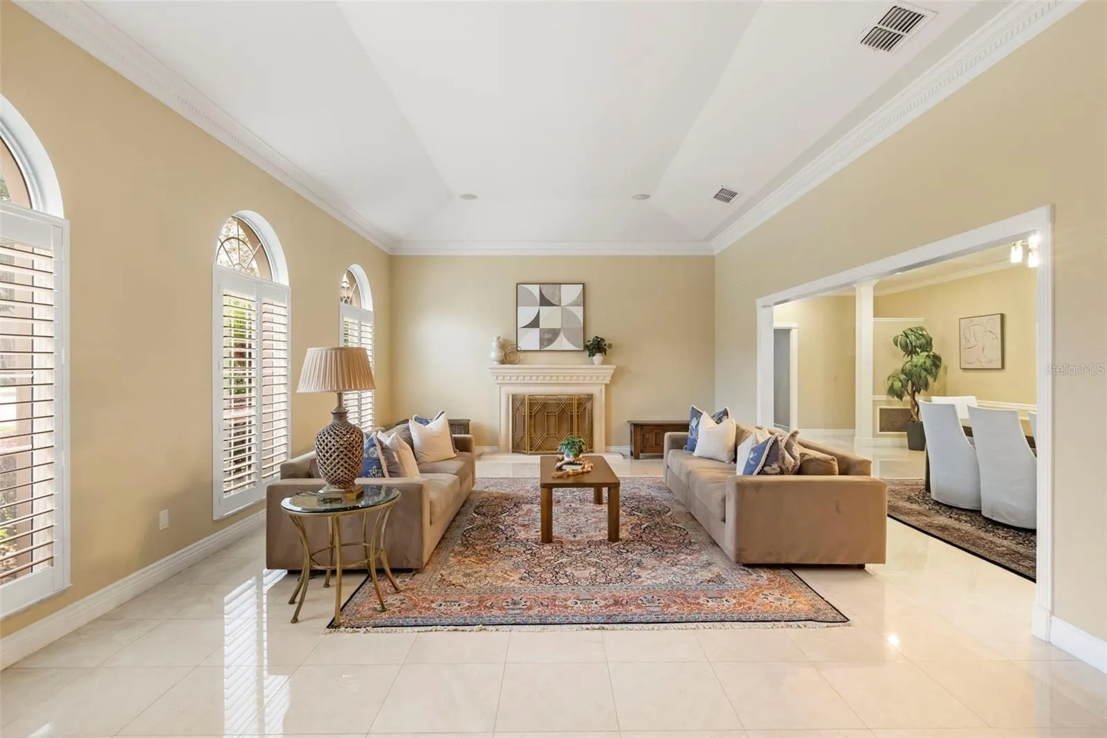 Living Room & Fireplace #1